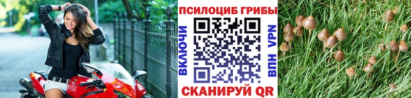 Псилоцибиновые грибы мухоморы  Купить где  Чусовой 